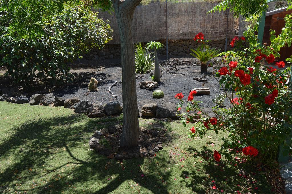 La Alpispa San Francisco de Paula Bagian luar foto